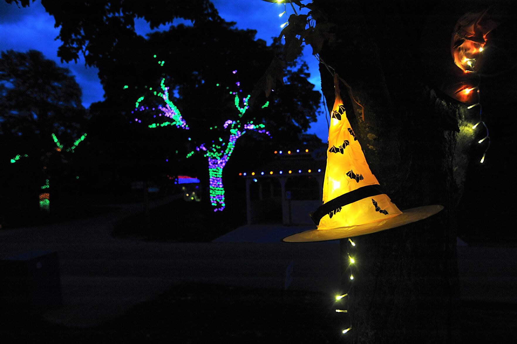 Halloween Glow at the Racine Zoo